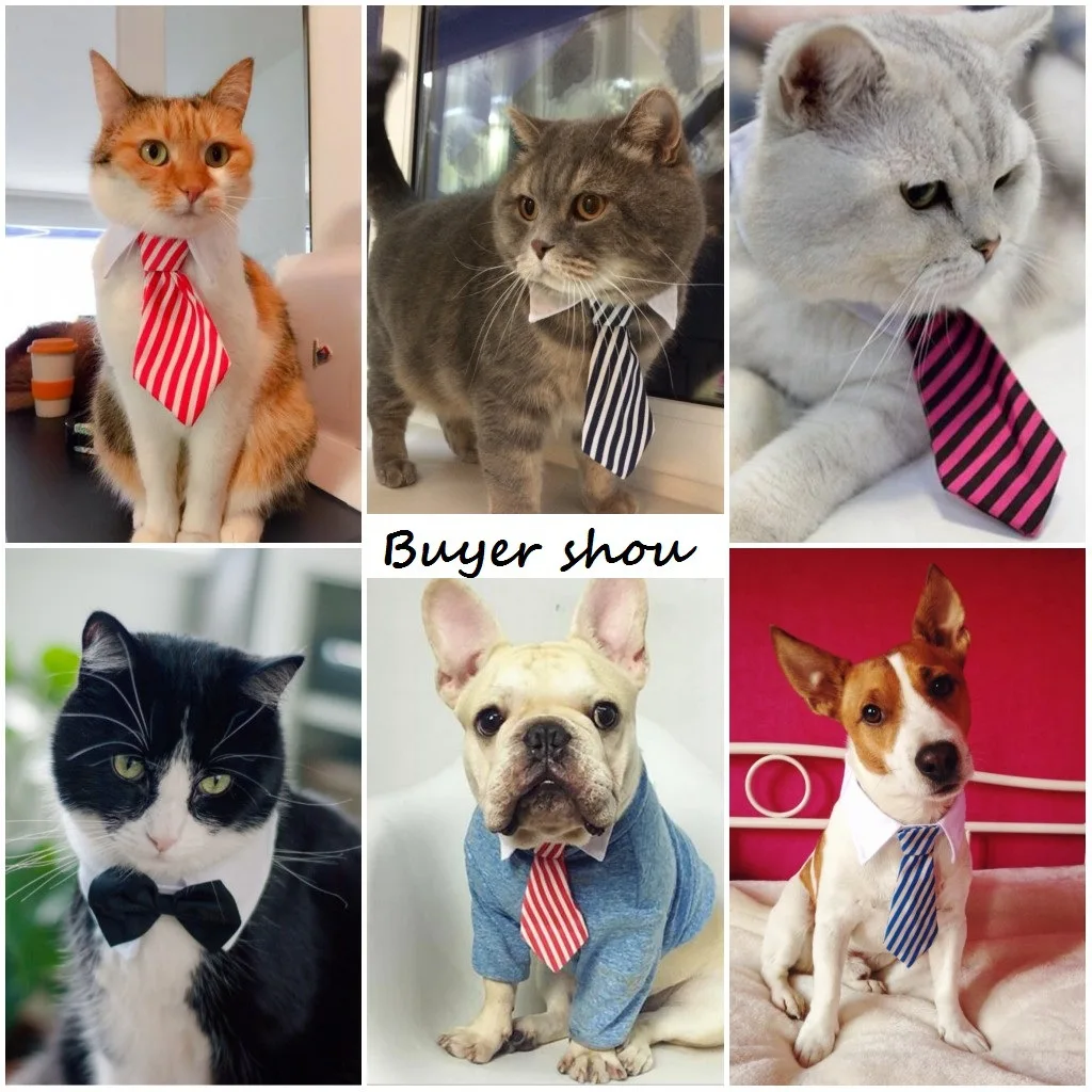 

Dog Accessories for Small Dogs Pet Supplies Dog Accessories for Small Dogs Dog Bow Tie Cat Accessories Pet Dog Supplies