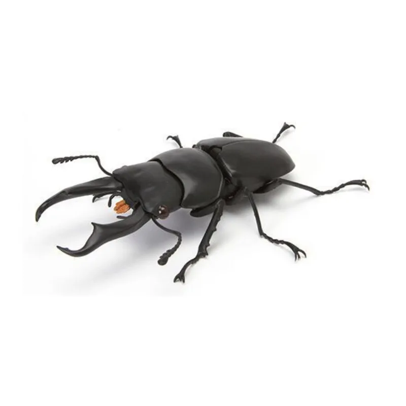 

Japan Genuine Bandai Egg-twisting Creatures Illustrated Beetle 04 Simulation Spade Worm Tarandos Big Black Ornaments.