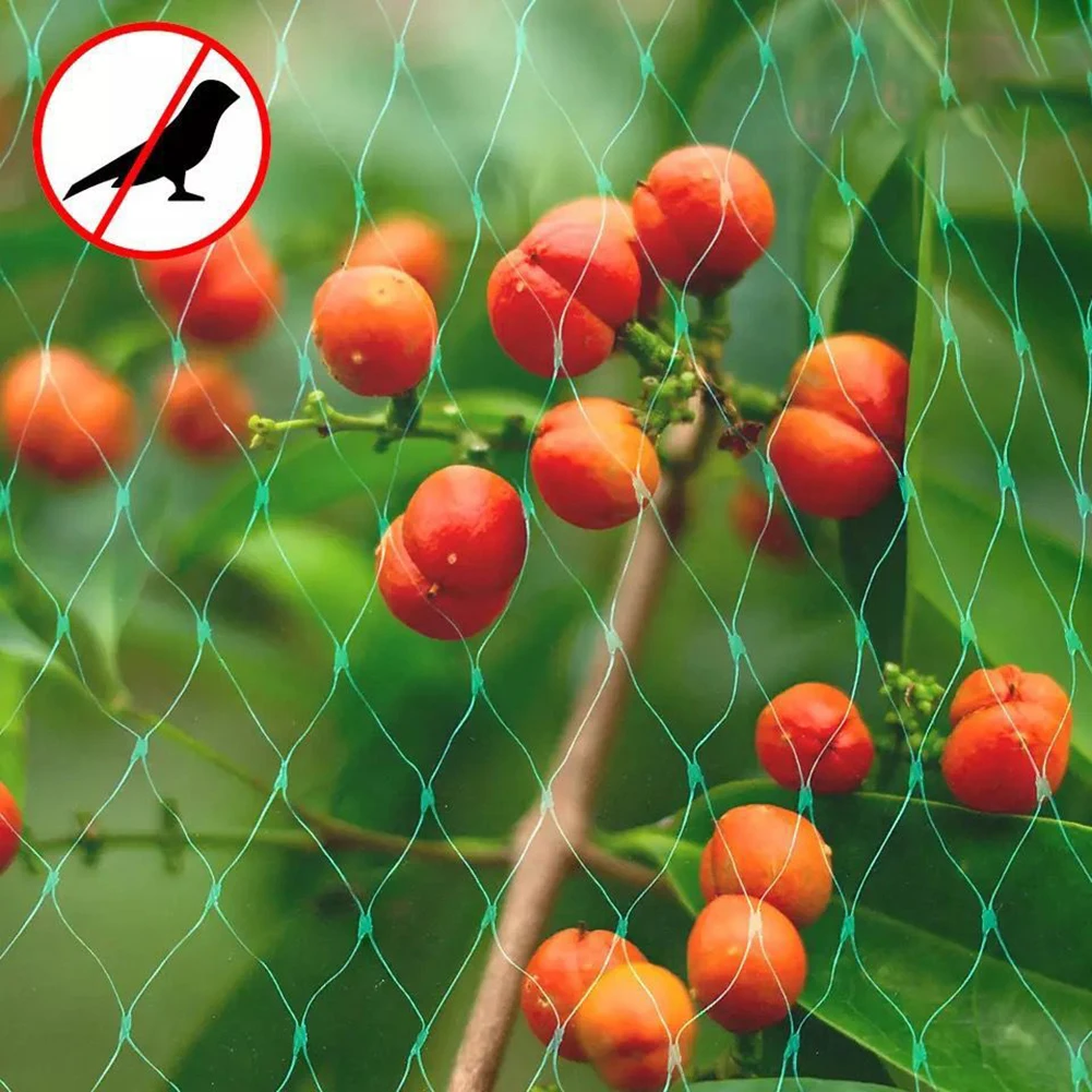 

Plastic Garden Birds Protection Net Reusable Garden Fencing Netting For Fruit Vegetables