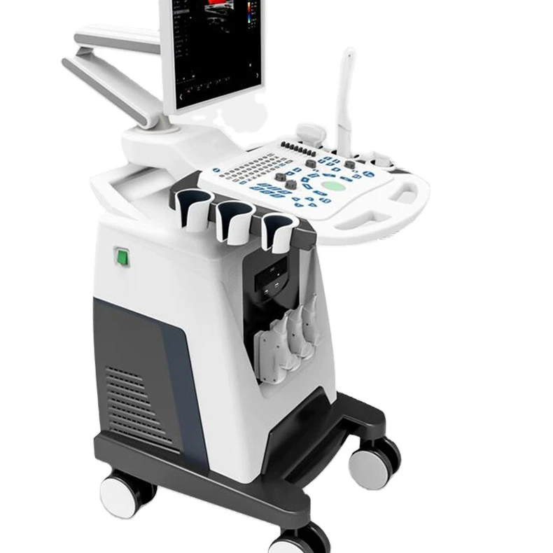 

Economical basic 4D mode portable trolley color doppler ultrasound scanner