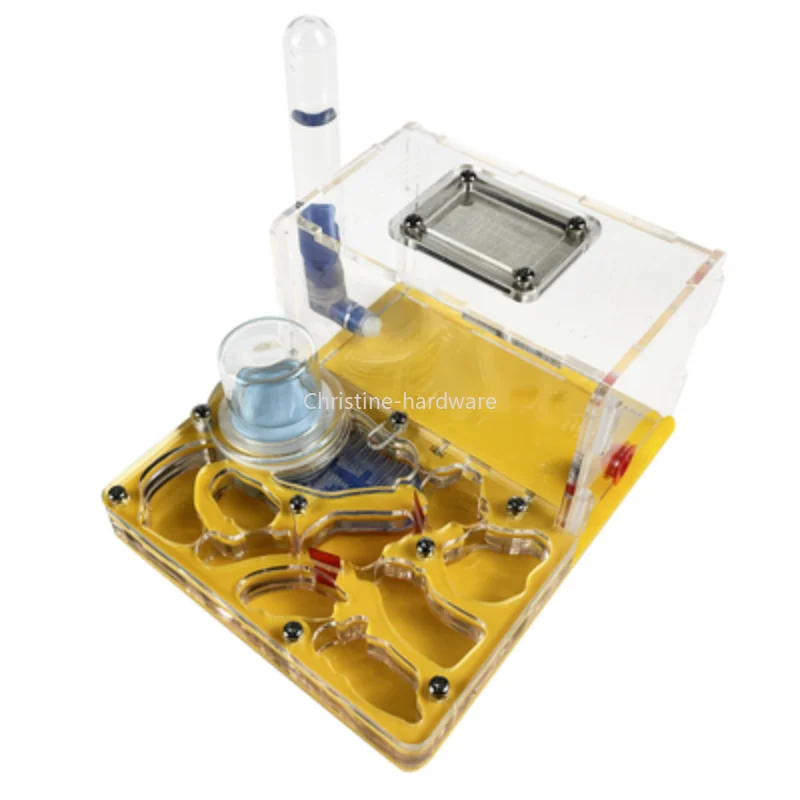 

Конструктор для сборки формикария