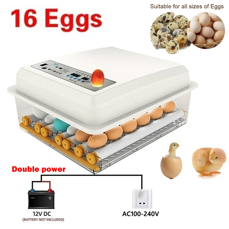 

Eggs Incubator Double Power 110V/220V Brooder Hatchery Automatic Incubator Poultry Chicken Duck Goose Bird Quail Egg Hatchers