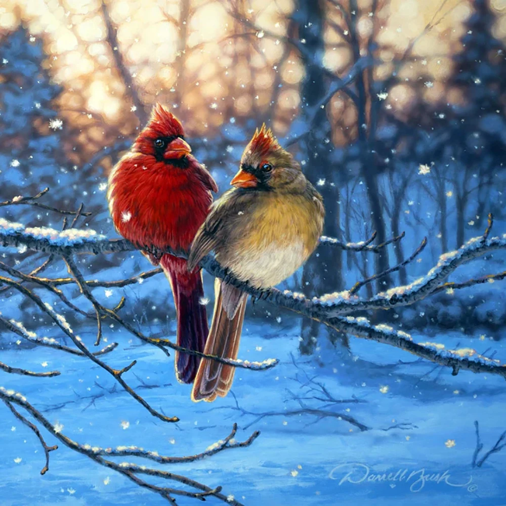 

Christmas Bird 5D DIY Diamond Painting Landscape Cross Diamond Embroidery Painting Full Round Diamond Mosaic Home Decor Gift