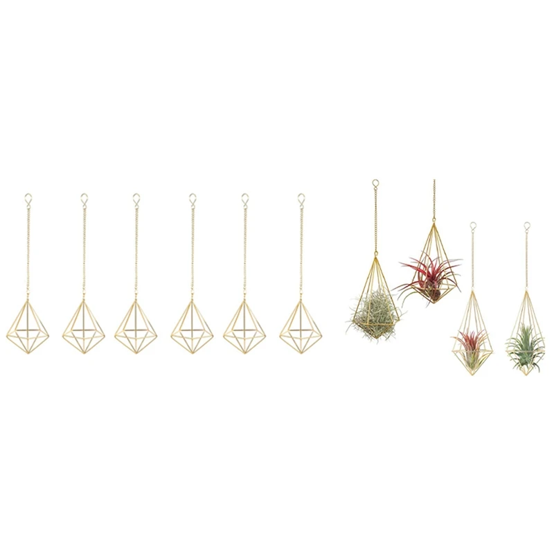 

6 Pcs Hanging Tillandsia Air Plant Rack Wall Hanging & 4 Packs Hanging Air Plant Holder Modern Geometric Planter