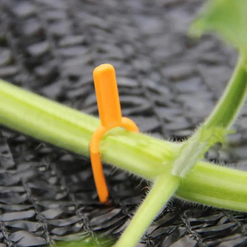 Пластиковые зажимы для поддержки цветов и растений держатель стебля орхидеи