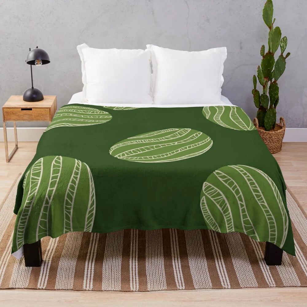 

Throw Lightweight Flannel Fleece Blanket for Couch Bed Sofa Red Watermelon Soft Travelling Camping for Kids Adults Blanket Queen