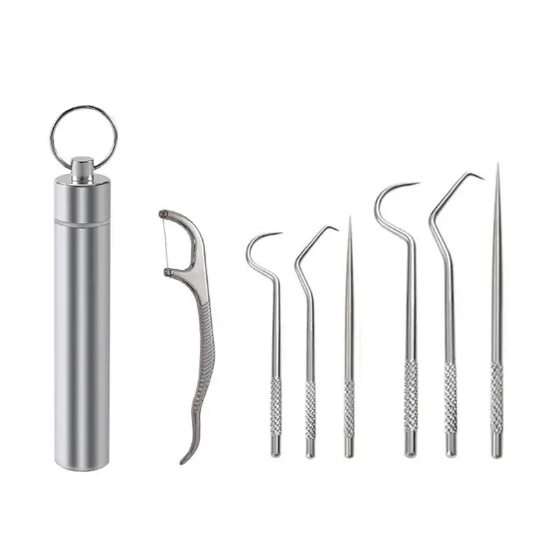 

Multifunctional Toothpick Metal Travel Toothpick Portable Fruit Fork Tooth Cleaning Accessory with Holder Hot Sale