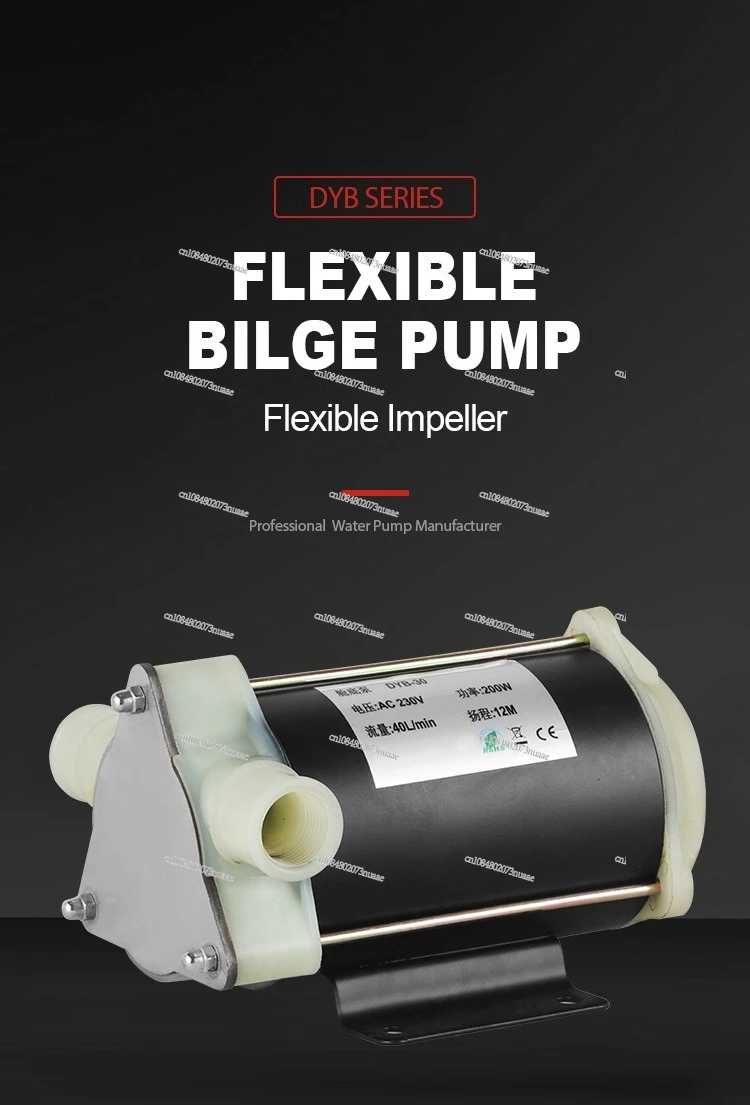 

Морской самовсасывающий насос 12v24v220v