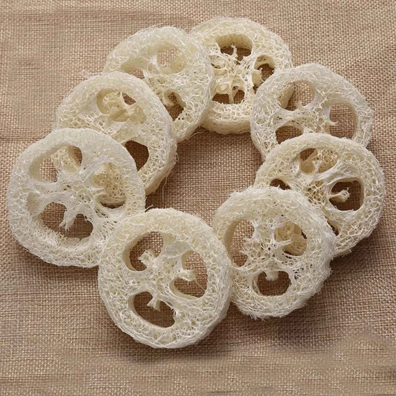 Рисунок 2 - натуральная люффа Luffa Loofa ломтики