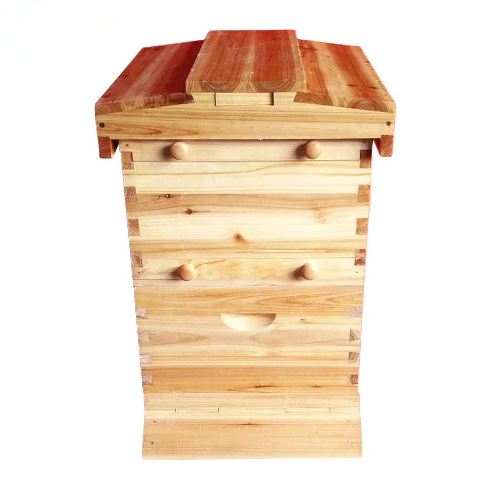 Golden Palace автоматические потоки hive 2 Beehive 7 шт. Super Box рамка с бесплатным потоком