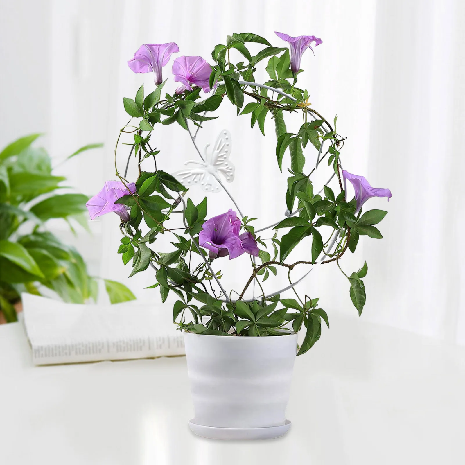 

Climbing Vine Rack Plant Potted Support Frame Plastics Coated Iron Garden Trellis Flower Vegetables Decorative Trellis 1Pcs