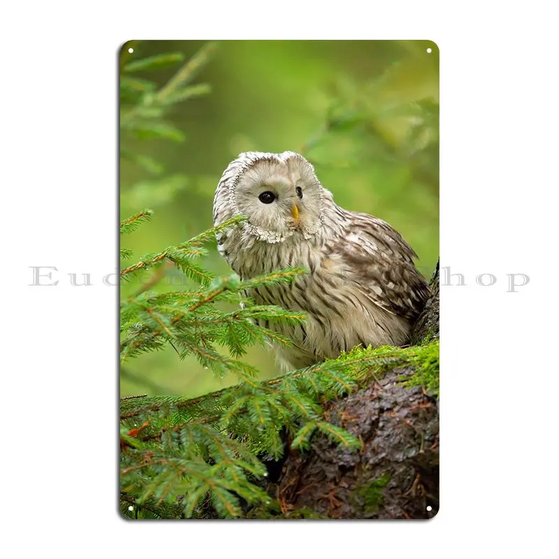 Урал Сова металлическая гаражный знак клубный Клуб Настроить жестяной постер