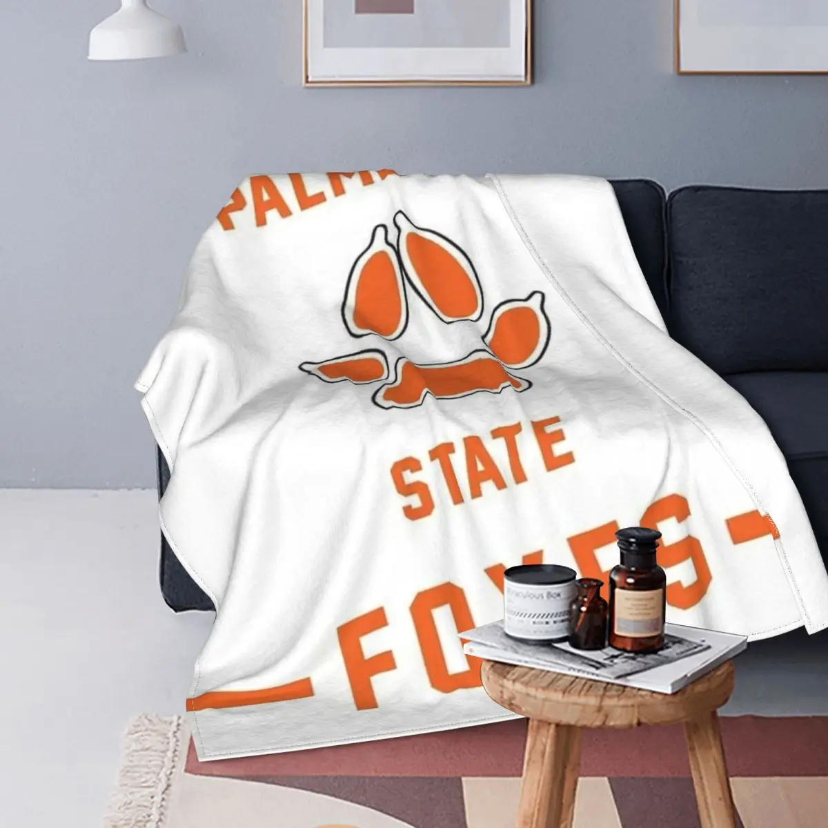 

Palmetto State Arch Crest Blankets Fleece Summer Plaid Anime Multi-function Soft Throw Blankets for Sofa Bedroom Bedspreads