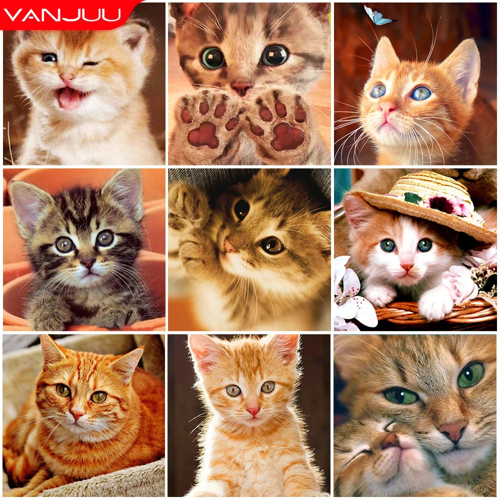 

5D DIY Diamond Painting Animal Cat Full Diamond Mosaic Rhinestone Embroidery Full Round Diamond Cross Stitch Kit Home Decor