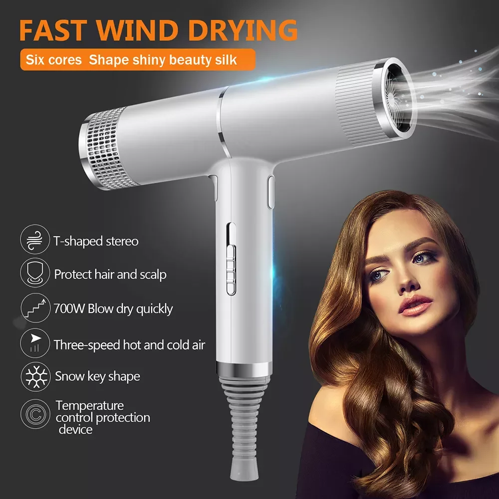 

Professional Hair Dryers Low Noise Light Weighte Air Blow Dryer Salon Dryer Hot &Cold Wind Negative Ionic Hair Style Tool