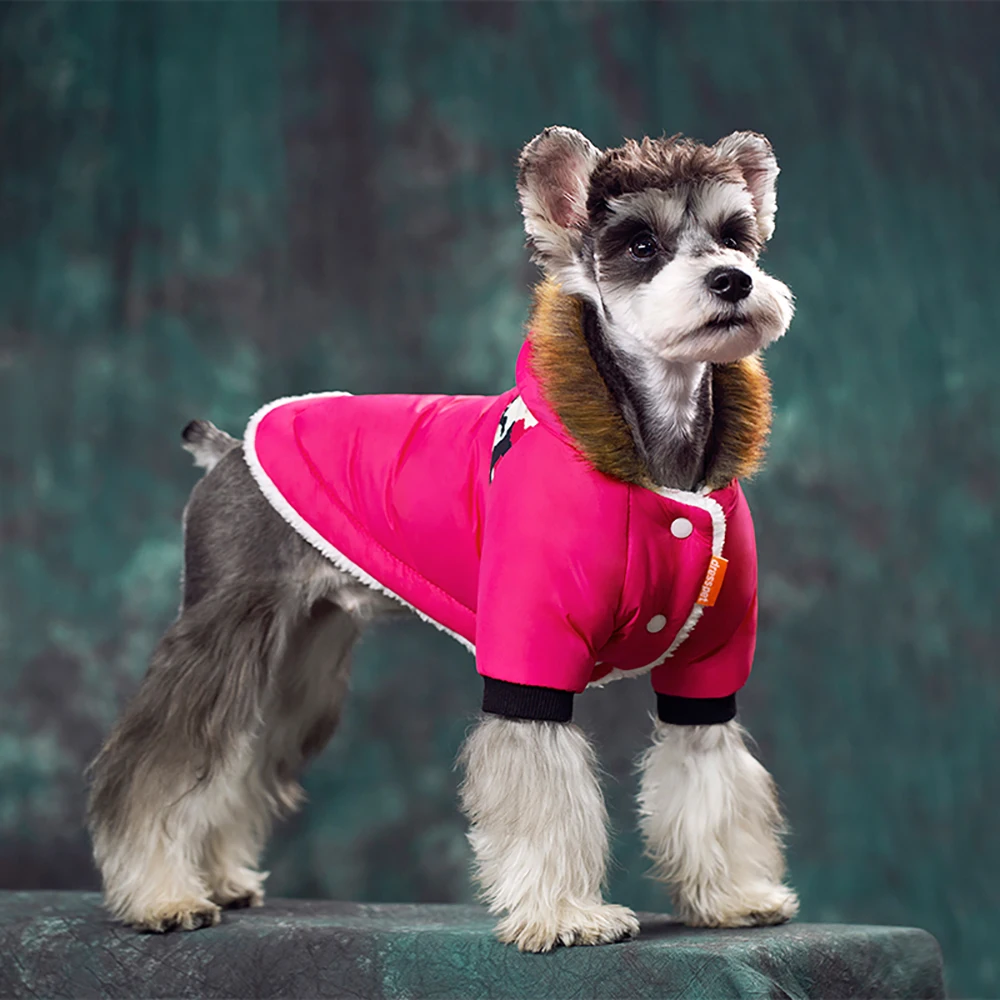 

Зимняя одежда для маленьких собак, теплая водонепроницаемая куртка, одежда для щенков, одежда для чихуахуа, французского бульдога, наряд, па...