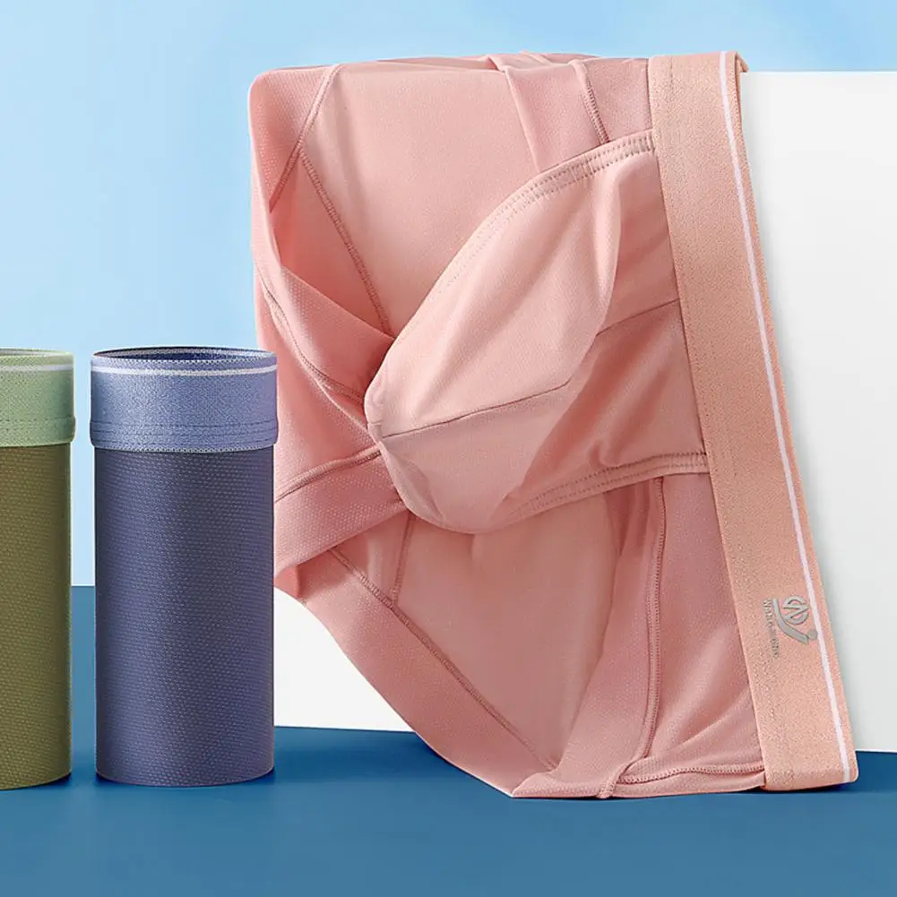 Soft Men Summer Underpants Breathable Mesh Slim Fit Soft Men Panties  Thin Men Underpants Men Garment