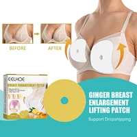women lift bras patch ginger self adhesive strapless invisible bra sticky breast lift tape pads breast enhancement stickers 10pc