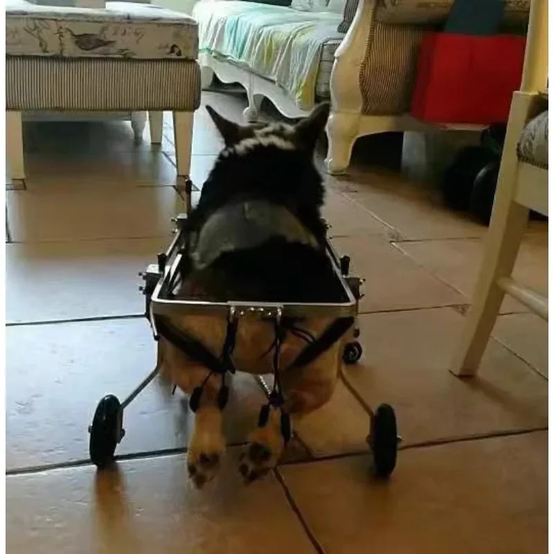 Инвалидная коляска для пожилых собак четыре колеса паралич животных онемение и