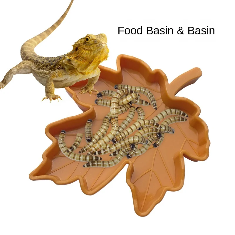 

Leaf Shape Amphibians Reptiles Feeder Plastic Reptile Terrarium Feeding Basin Tortoise Lizard Crawler Bowl Basin Water Fountain