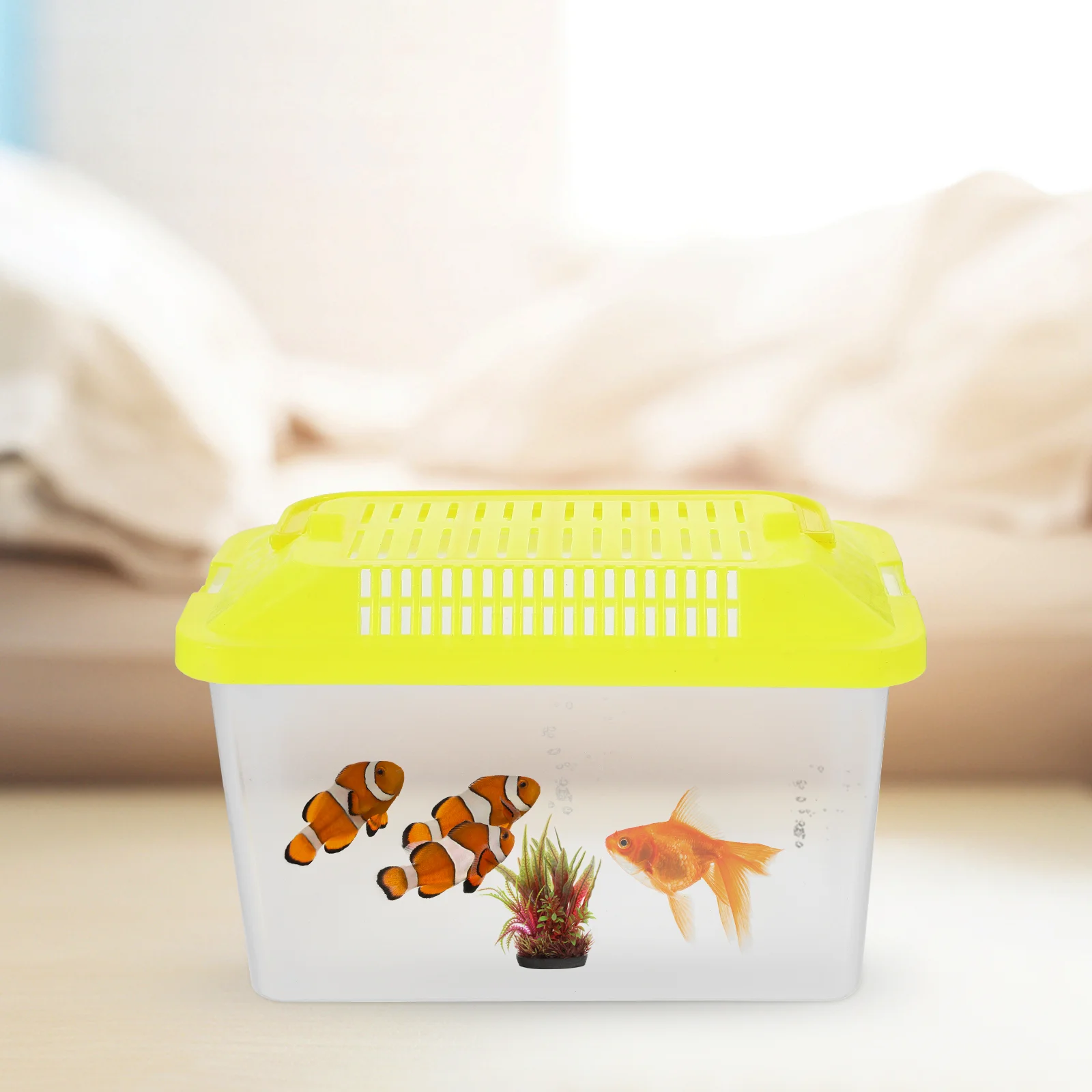 Краб черепаха пластиковый аквариум животные среда обитания хомяк восхождение