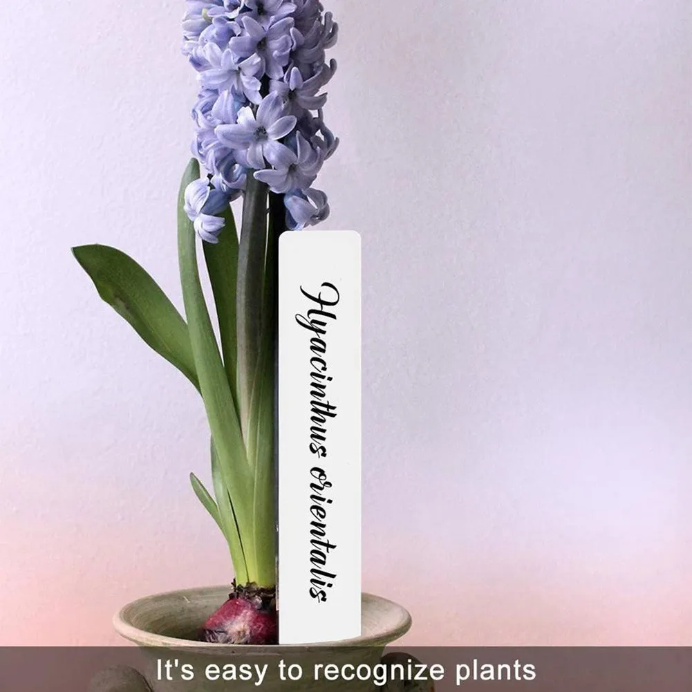 

100 Pcs Garden Plant Labels Waterproof Plant Labels Plastic Plant Tags DIY Flower Pots Landing Tag Nursery Tray Markers