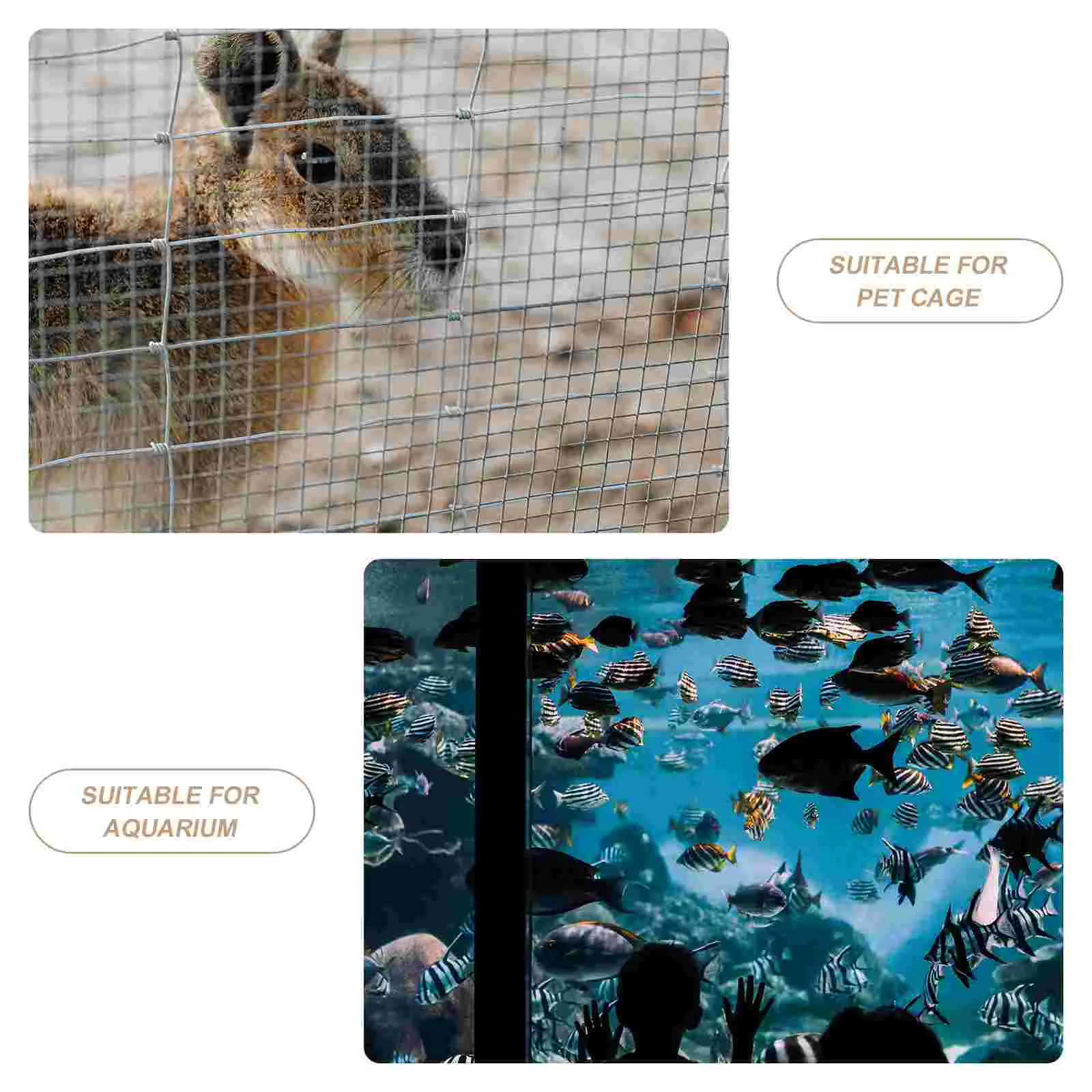 2 шт. украшение из кори черепаха аксессуары для обитания стеклянная шайба новинка