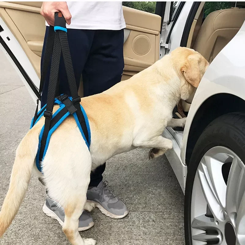 

NEW Adjustable Dog Lift Harness For Back Legs Pet Support Sling Help Weak Legs Stand Up Pet Dogs Aid Assist Tool For Old Dogs