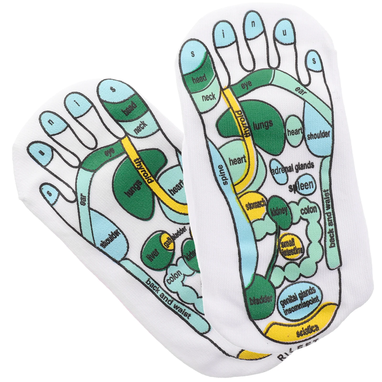 

1 Pair Acupressure Socks Feet Elastic Sock Socks Tools for Women