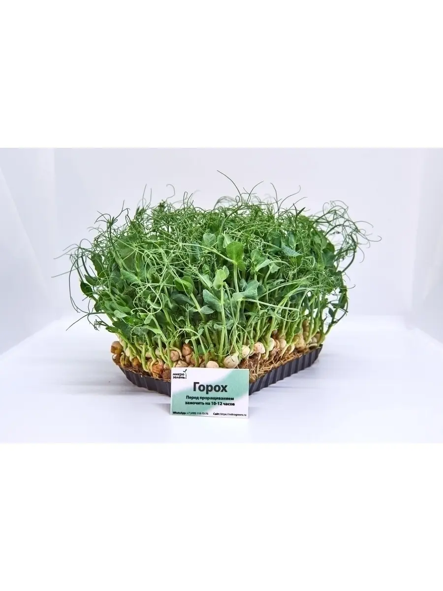 Набор для выращивания микрозелени 10 урожаев &quotMikroGreens&quot (горох люцерна клевер