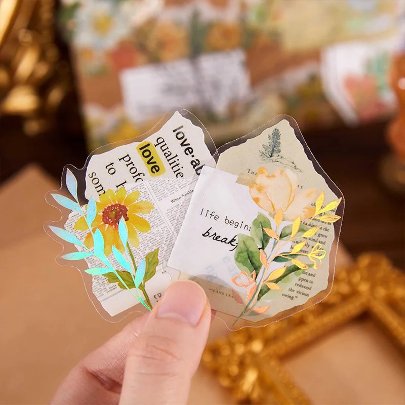 6 упаковок/лот Hua Jian Micro Language Series декоративная наклейка для домашних животных