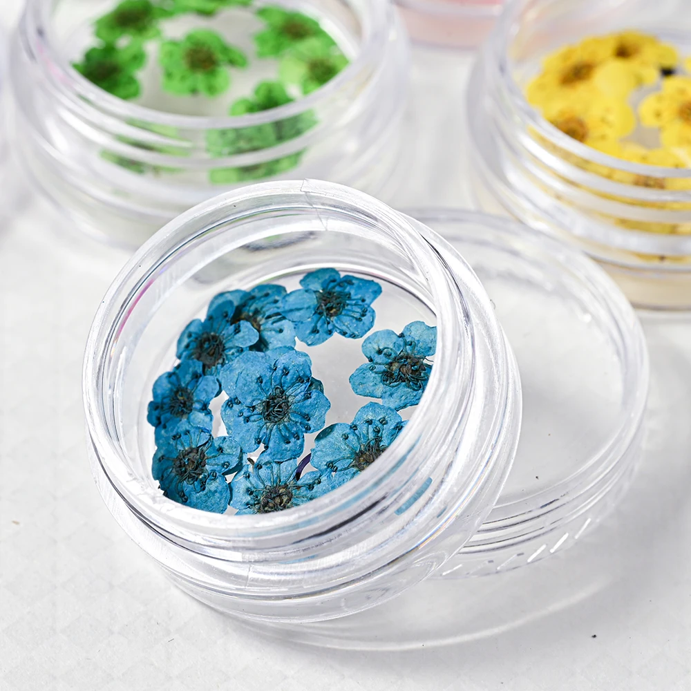 160 шт. = 16 коробок/компл. смешанные 3D ногти мини-наклейки с сушеными цветами каваи