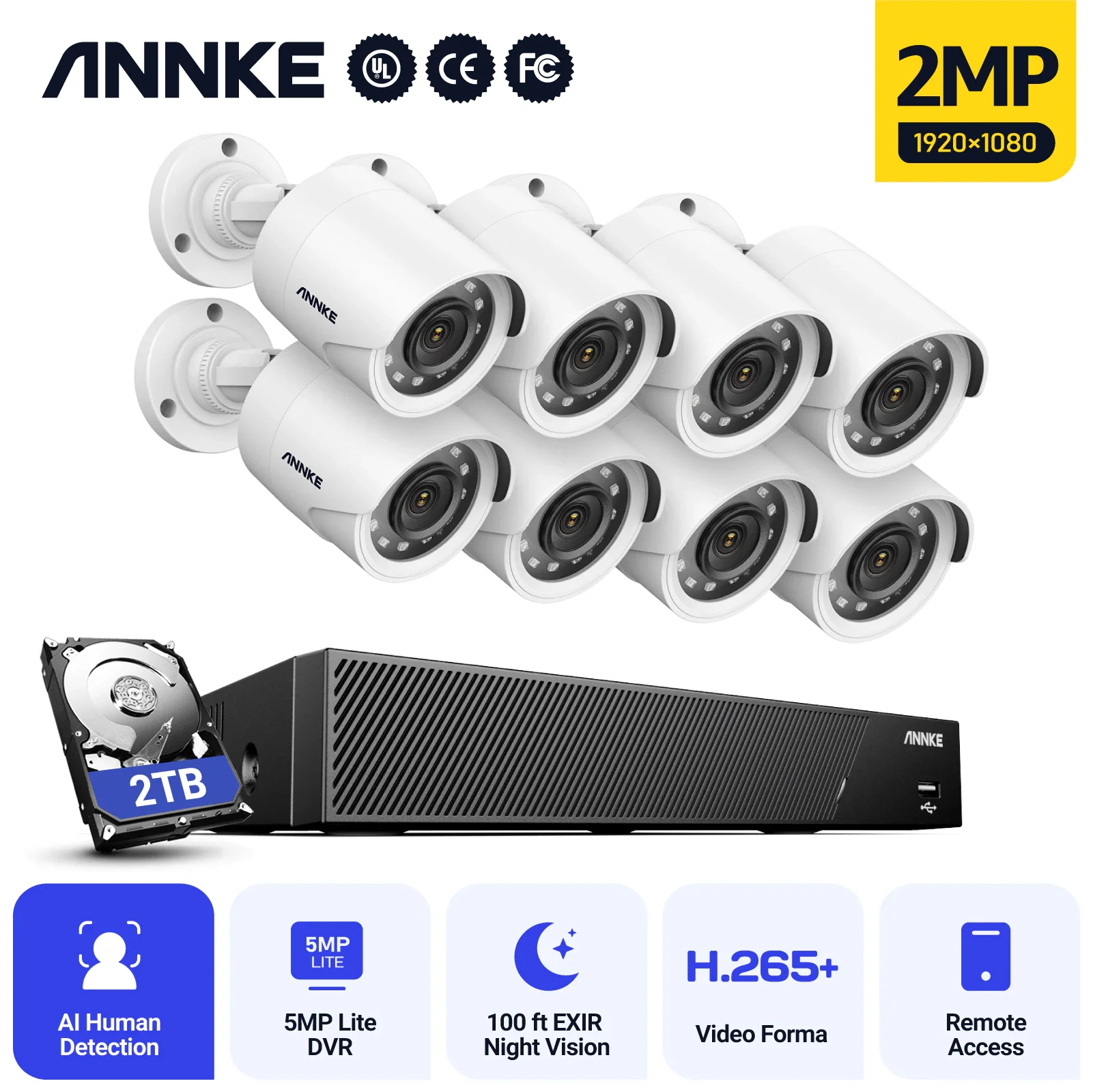 Ir Outdoor Ip66 Video Surveillance Camera Kit
