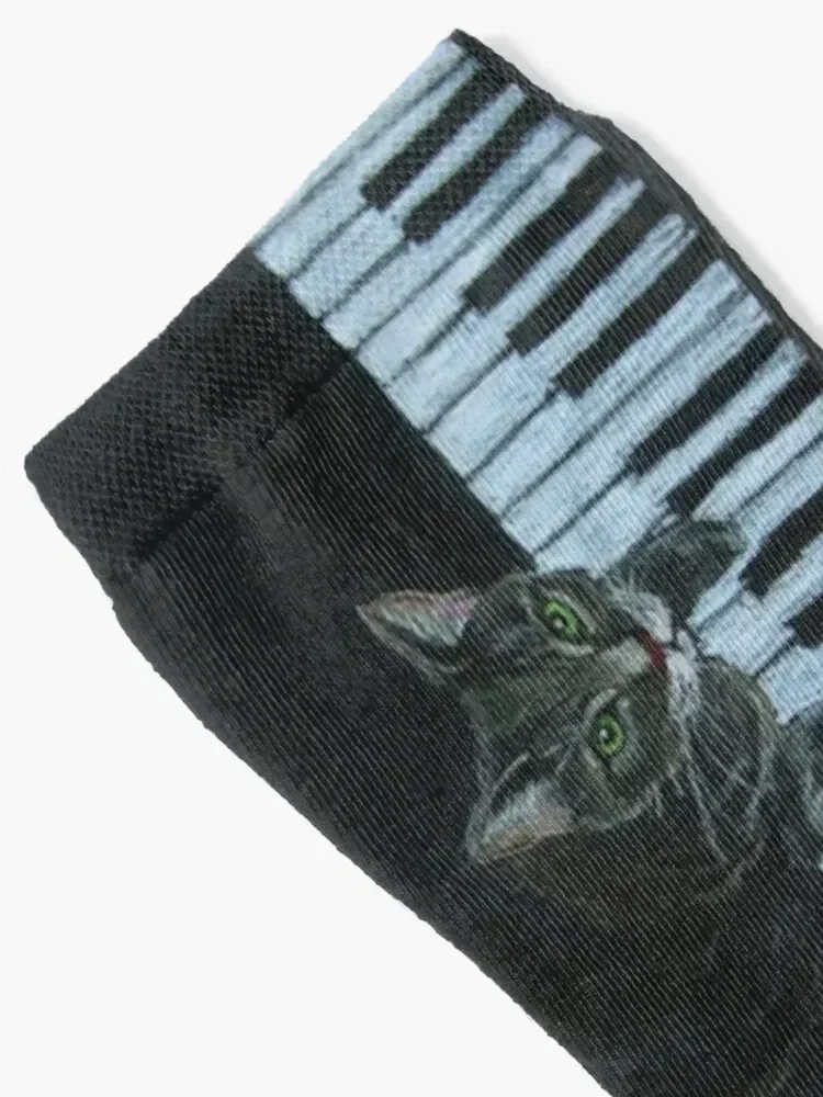 Носки Catgang Meowzart чулки до щиколотки с героями мультфильмов мужские носки женские