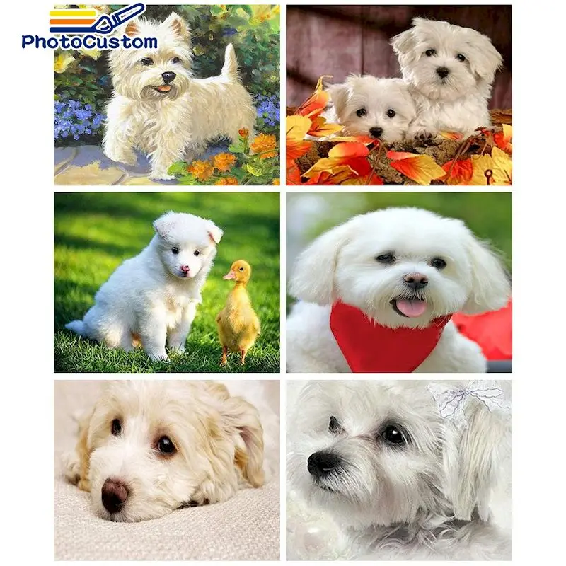 

PhotoCustom Diamond Painting Dog Full Square/round Heart Diamond Embroidery Mosaic Animal Home Decoration