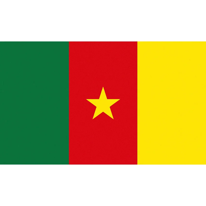 

Nlbflag Cameroon 90X150cm 3x5ft Banner National Flag for Decoration