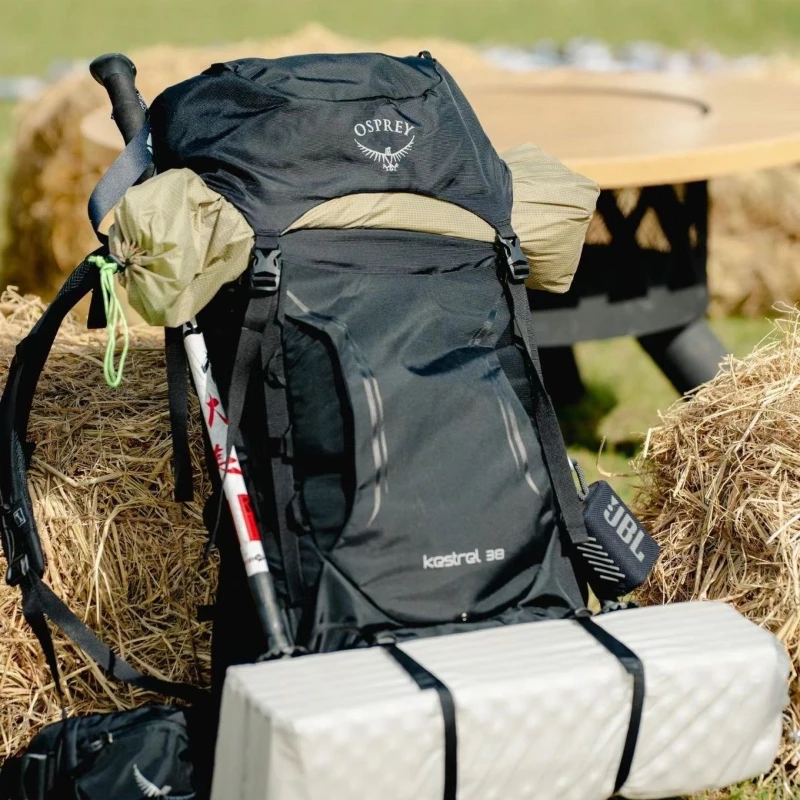 Профессиональный уличный рюкзак Osprey Beetle Kitty походная сумка мужской и женский 36 л