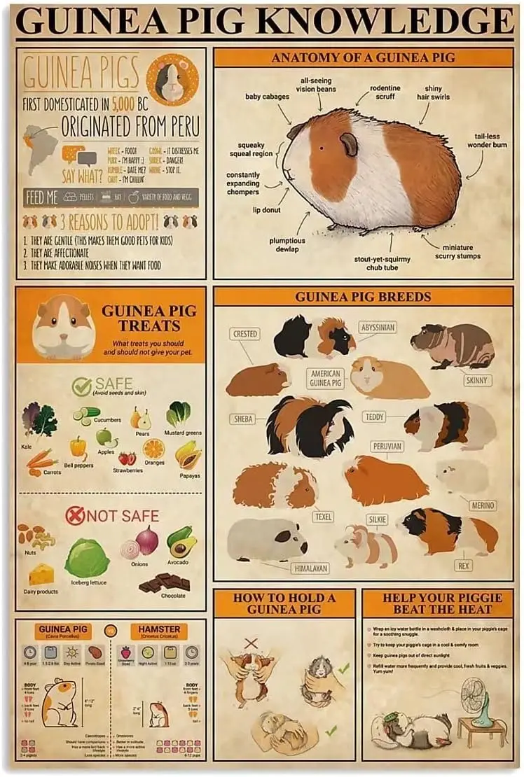 Gune Pg Знания Metl Sgn Breeds Soluton Plnng Gude Grphc Tn Плакат Frm Plque Home Ktchen Club School Educton Wll Decor