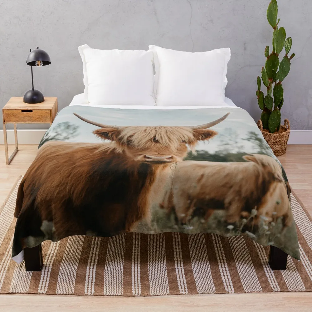 

Curious Highland Cow Throw Blanket blanket for decorative sofa luxury brand blanket Summer blanket sofa Throw Blanket
