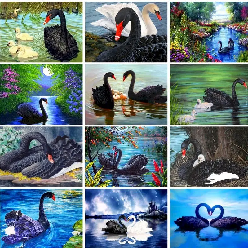 

GATYZTORY DIY Paints By Numbers Swan 60x75cm Pictures Oil Painting By Numbers Set Gift Frameless Coloring By Numbers On Canvas