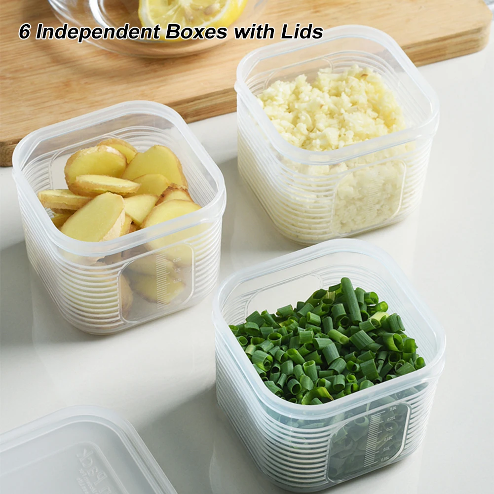 S With Lids Reusable Fresh Keeping Organizer With 6 Detachable Small Boxes