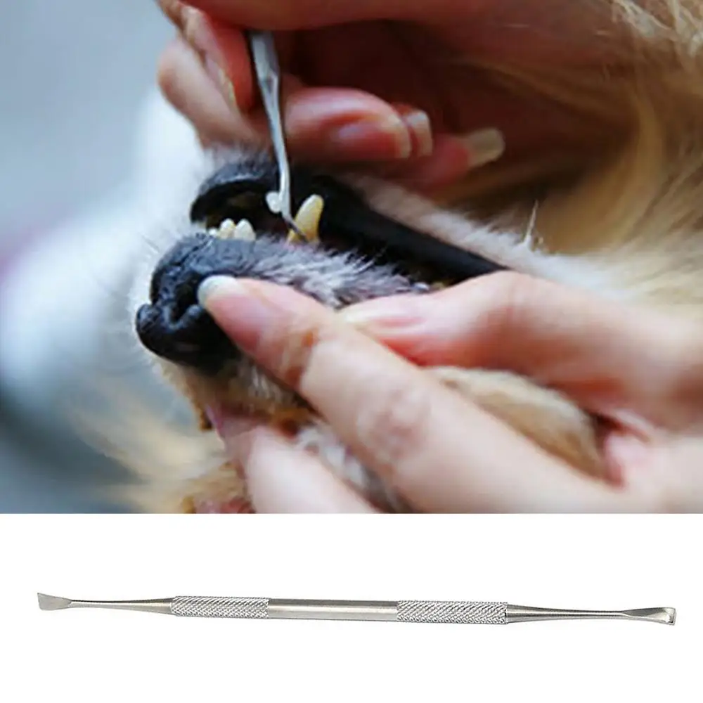 

Средство для удаления орального воздействия, скребок для кошек и собак, инструмент для гигиены зубов, зубной тартарный чистый камень из нержавеющей стали с двумя головками, стальной скалер для ухода