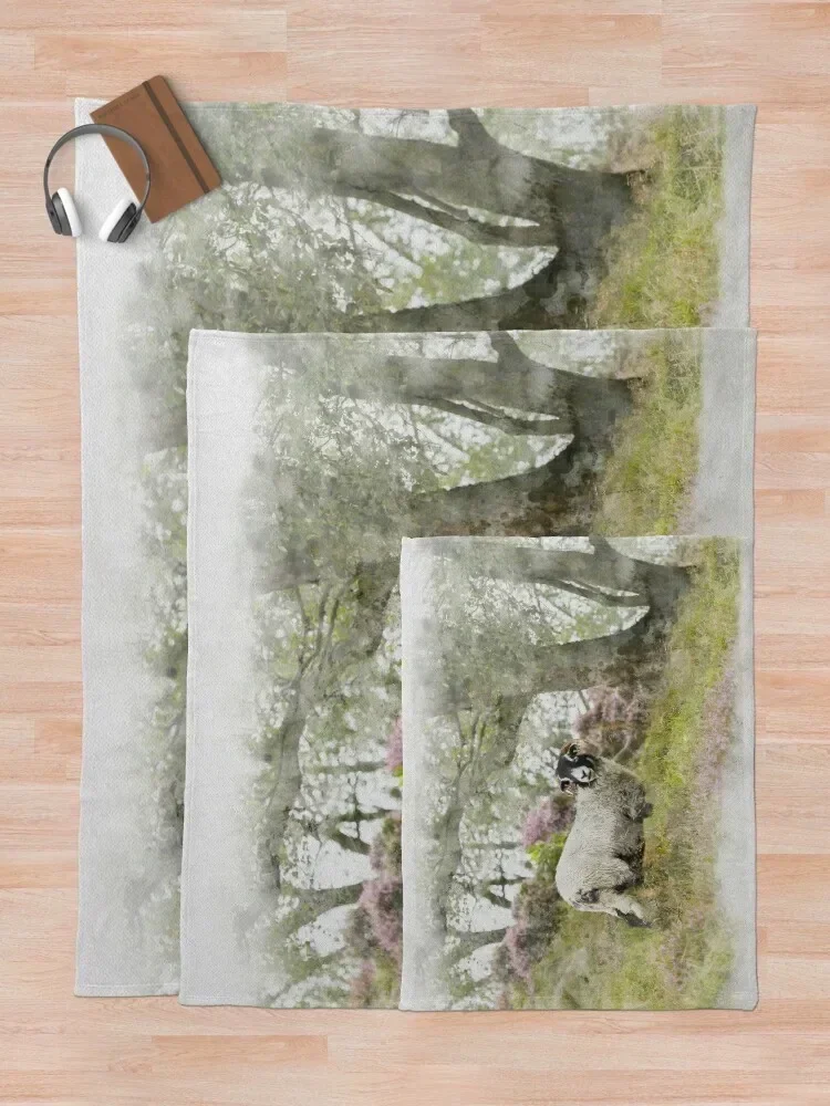 Одеяло Swaledale из овец на стентоне Мор Акварель для фотосъемки рождественские