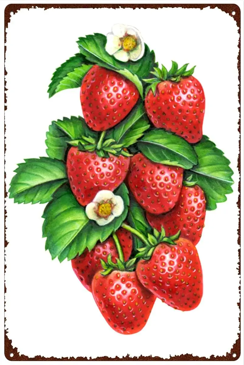 Ретро Metl Tn Sgn 8 12 nches Decove ntque Strwberry Wtercolor Prnt Berry Frut Decor Modern Wll Ktchen