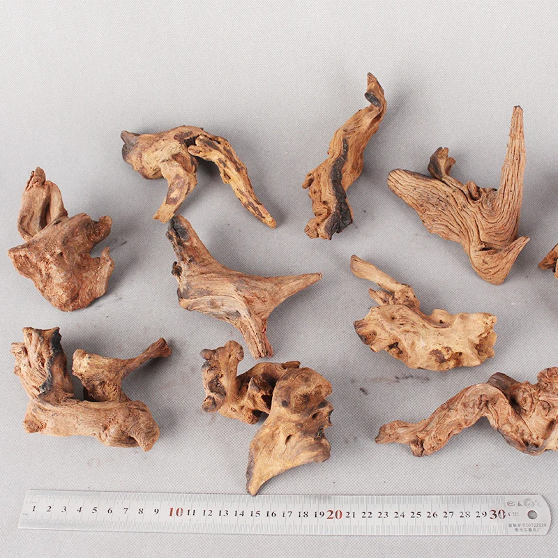 10/20 см подъемник из кораллового дерева, рептилия, ящерица, пробка, украшение для домашних животных, дрифт, дерево для аквариума, натуральное дерево