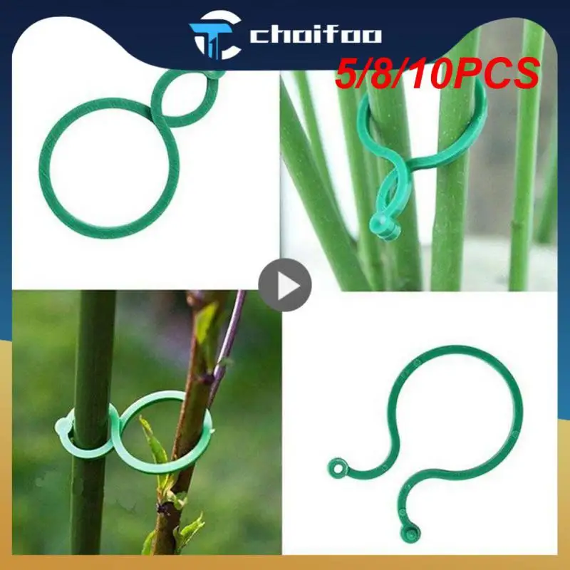 

5/8/10PCS Fixed Plant Wall Climbing Vine Clips Fixture Vine Buckle Hook Plastic Garden Vine Strapping Clips Plant Climbing Hot
