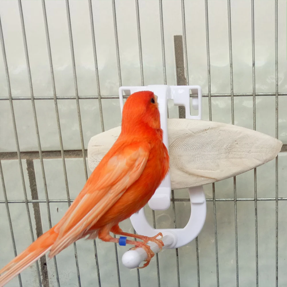 Клетка для птиц держатель еды зажимы попугаев фруктов овощей кормления домашних