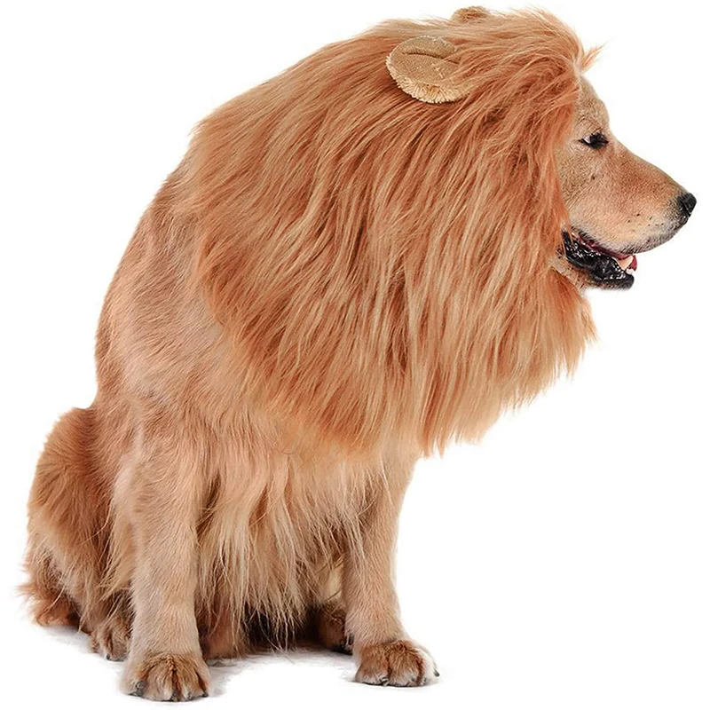 

Женский интересный костюм для косплея, парик для собак среднего и большого размера, подходит для Хэллоуина, дня рождения