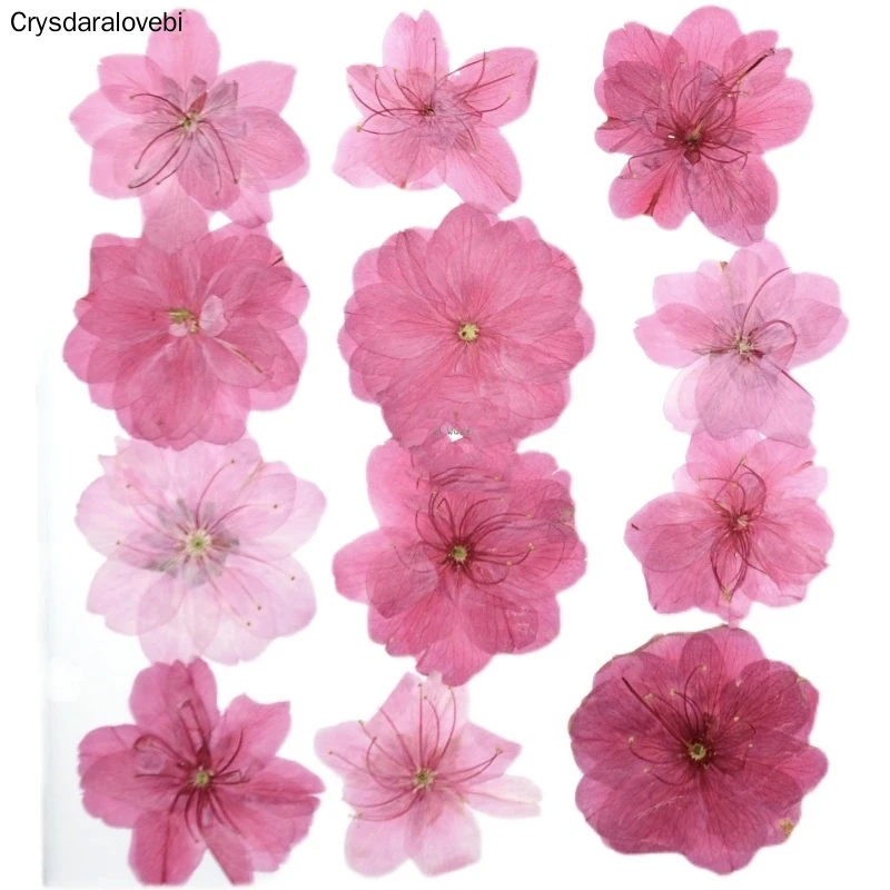 

120pcs Mixed Pressed Dried Flower Natural Cherry Blossoms Herbarium Epoxy Resin Jewelry Making Makeup Face Nail Art Craft DIY