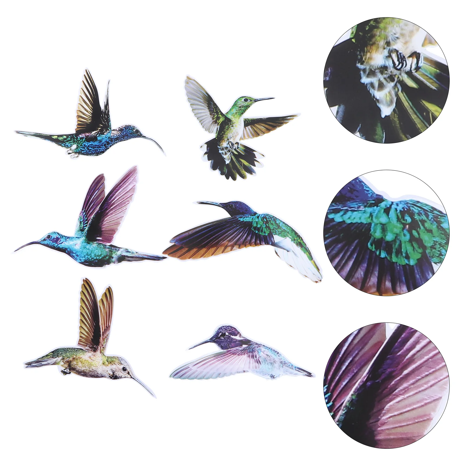 

Window Bird Stickers Alert Anti Collision Decals Decal Wall Clingvinyl Hummingbird Clings Birds Animals Adhesive Strike Leaf